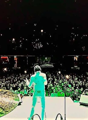 Doble de Elvis Presley